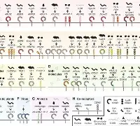 烀>艑轥怭礼)v?袑-九游体育